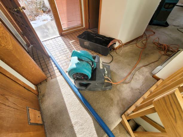 Best Water damage restoration near me  in Avon, PA