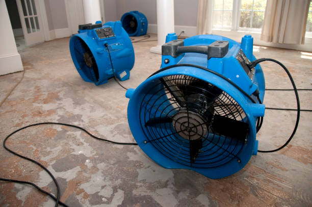 Best Water damage restoration near me  in Avon, PA