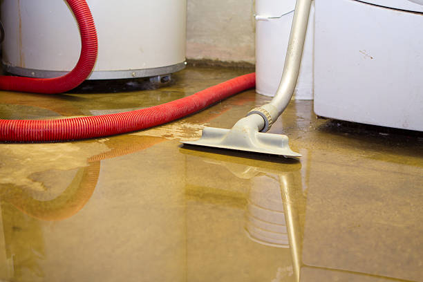 Best 24-hour water damage restoration  in Avon, PA