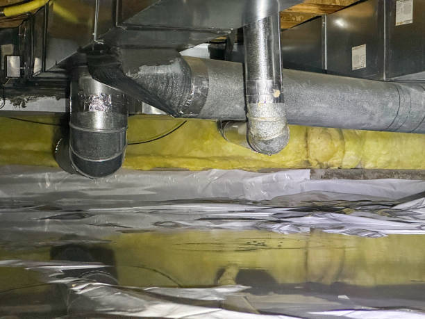 Best Flood restoration services  in Avon, PA