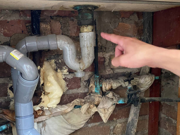 Best Water damage contractors near me  in Avon, PA
