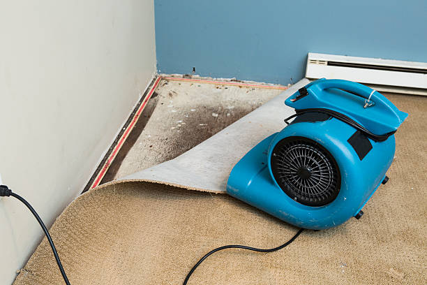 Best 24/7 water damage repair  in Avon, PA
